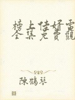 榜上佳婿电视剧全集免费观看高清下载