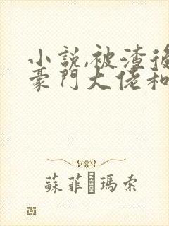 小说,被渣后,豪门大佬和我闪婚了