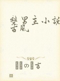 双男主小说推荐古风