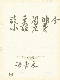 苏柔周明全赵刚小说免费封面