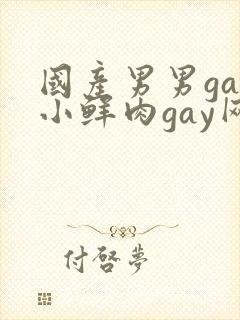 国产男男gay小鲜肉gay网站亚洲