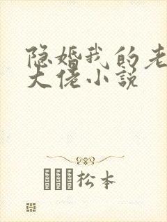 隐婚我的老公是大佬小说