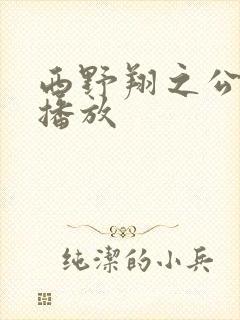 西野翔之公在线播放封面