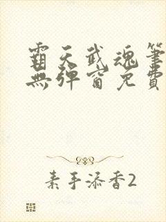 霸天武魂笔趣阁无弹窗免费阅读