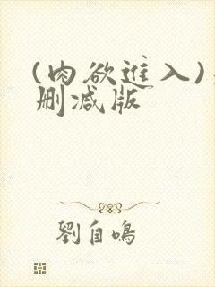 (肉欲进入)未删减版封面