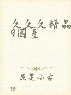 久久久精品,99国产