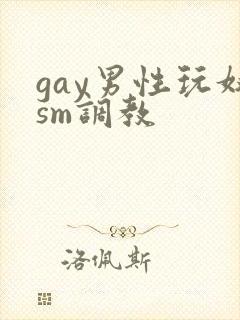 gay男性玩奴sm调教