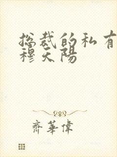 总裁的私有宝贝穆天阳