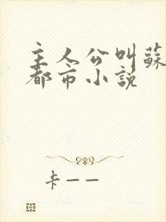 主人公叫苏晨的都市小说