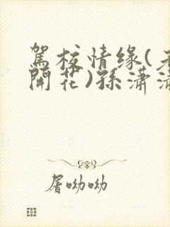 驾校情缘(老树开花)孙潇潇笔趣阁