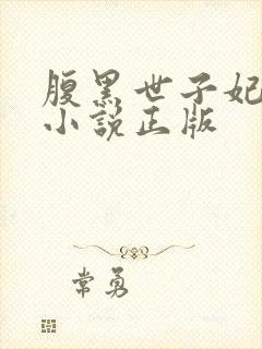 腹黑世子妃日常小说正版