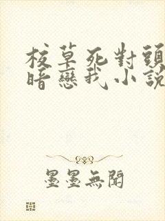 校草死对头竟然暗恋我小说免费阅读