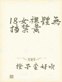 18女裸体无遮挡禁黄封面