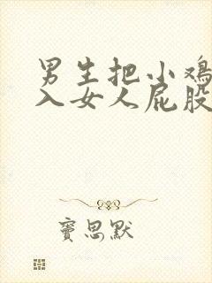 男生把小鸡鸡插入女人屁股里视频