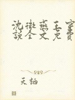 沈微燕王穿越小说全文免费阅读