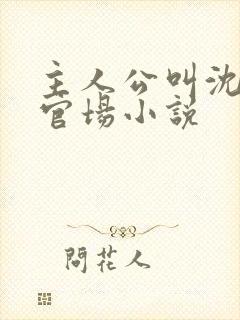 主人公叫沈荡的官场小说