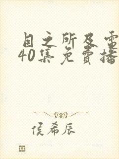 目之所及电视剧40集免费播放