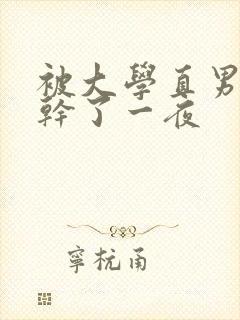 被大学直男室友干了一夜