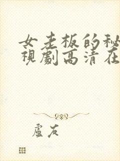 女老板的秘密电视剧高清在线播放封面