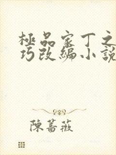 极品家丁之董巧巧改编小说封面