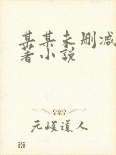 某某未删减版原著小说