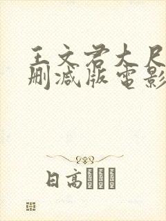 王文君大尺度未删减版电影封面