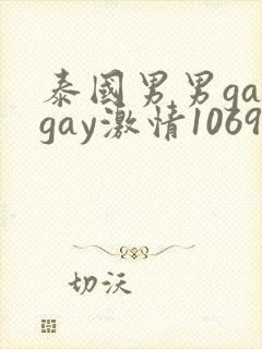 泰国男男gaygay激情1069