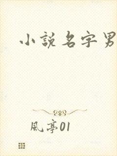 小说名字男生