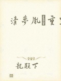 清梦胤礽重生封面