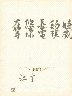 在悠长的时光里等你电视剧免费观看完整版封面