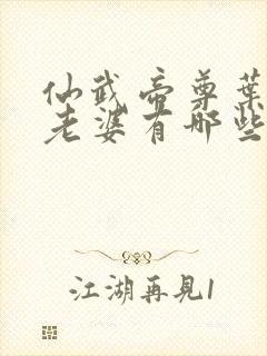 仙武帝尊叶辰的老婆有哪些