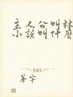 主人公叫林烨的小说叫什么名字