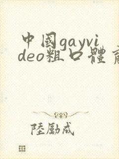 中国gayvideo粗口体育生封面