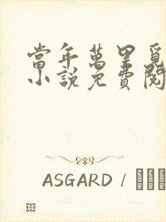 当年万里觅封侯小说免费阅读未删减封面