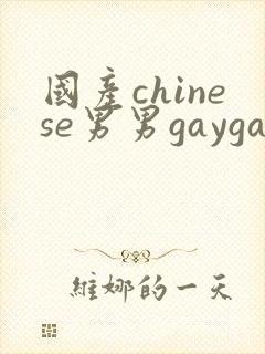 国产chinese男男gaygay网