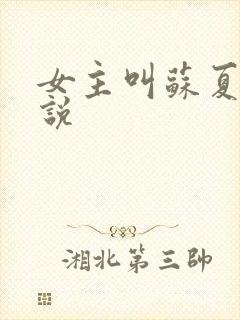 女主叫苏夏的小说