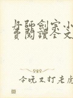 丹师剑宗小说免费阅读全文封面