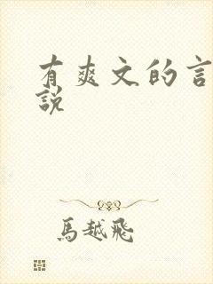 有爽文的言情小说