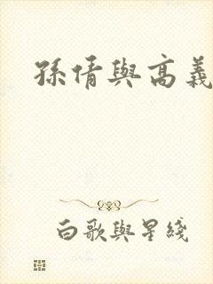 孙倩与高义封面