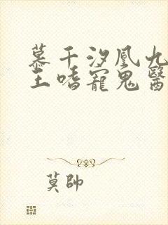 慕千汐凰九夜邪王嗜宠鬼医狂妃无弹窗