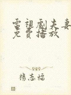 电视剧夫妻全集免费播放