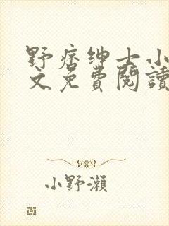 野痞绅士小说全文免费阅读