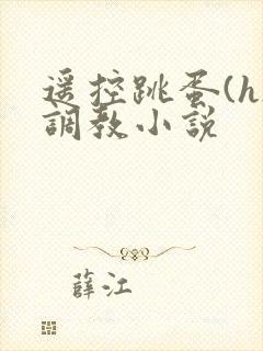 遥控跳蛋(h)调教小说