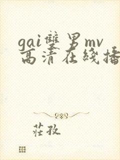 gai双男mv高清在线播放