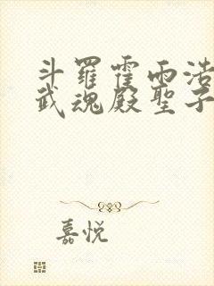 斗罗霍雨浩成为武魂殿圣子