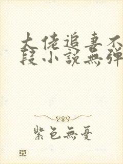 大佬追妻不择手段小说无弹窗封面