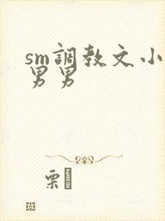 sm调教文小说男男封面