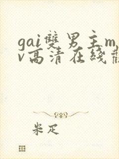 gai双男主mv高清在线观看