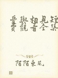 爱与相见短剧免费观看全集在线