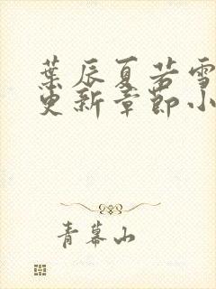 叶辰夏若雪最新更新章节小说免费阅读